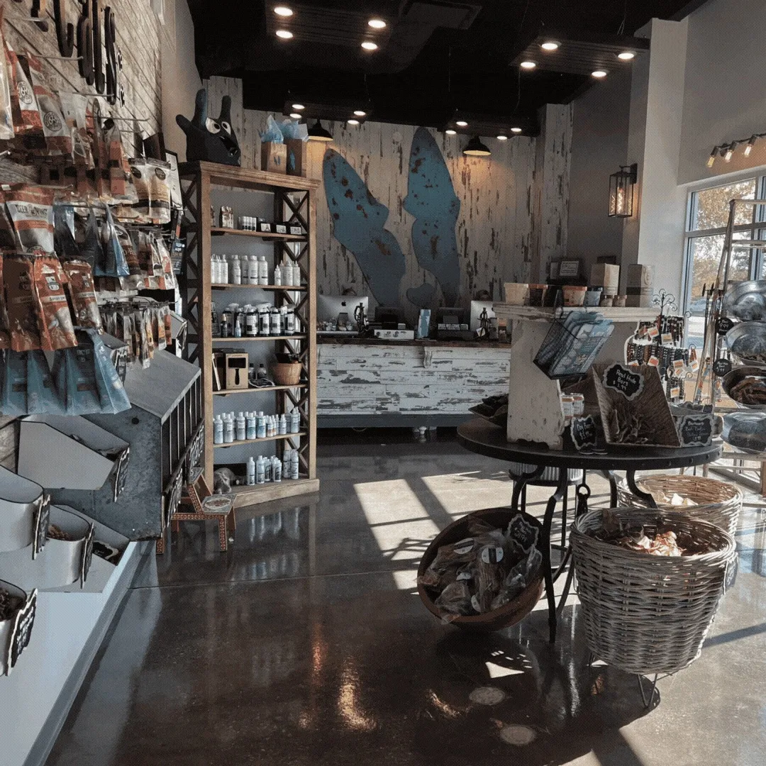 Inside the Aqua Dog Grooming shop in Chattanooga, with the aqua dog mural