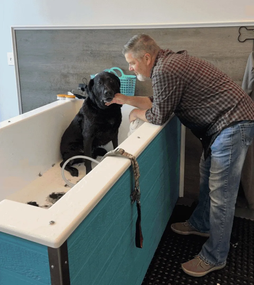 Self-Serve Dog Wash at Aqua Dog Grooming, Chattanooga
